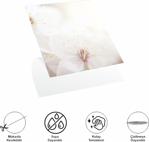Decohandy 30x30 Cm Pvc Duvar Karosu 4 Lü Paket - Japon Çiçeği