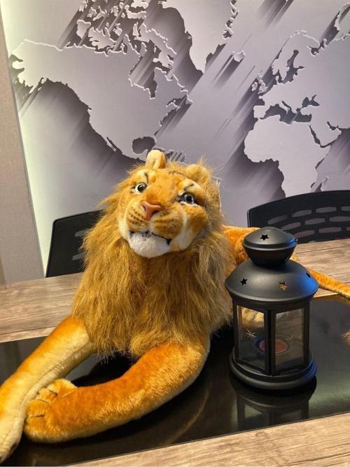 Toprockstore Aslan Peluş Oyuncak Büyük Boy