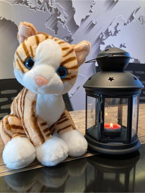 Krem Peluş Kedi 28Cm