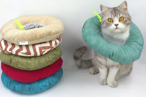 Kedi Köpek Yakalık Düz Renkli Mix Large