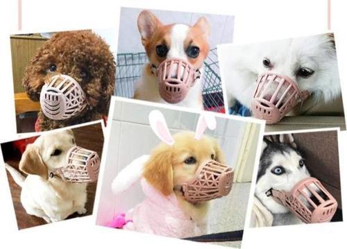 Köpek Koruma Ağızlığı 7'li Set