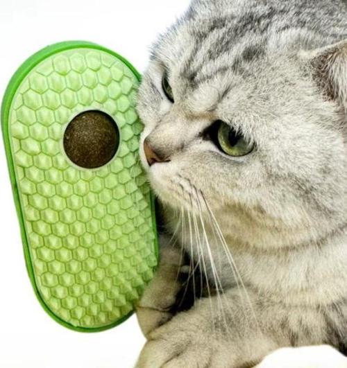 Silikon Kaşıyıcılı Kedi Otu