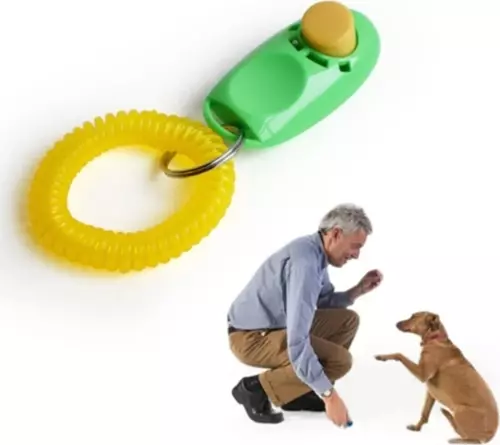 Clicker Köpek Eğitim Aleti