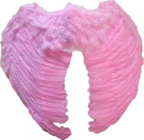 Melek Kanadı Kostümü Pembe