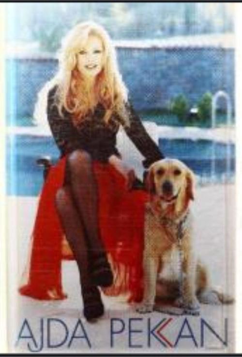 Ajda Pekkan - Eğlen Güzelim Kaset