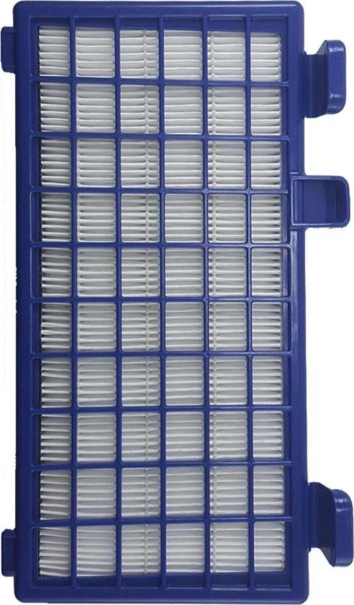 Ro 6289 X-Trem Power Cyclonic Uyumlu Hepa Filtre