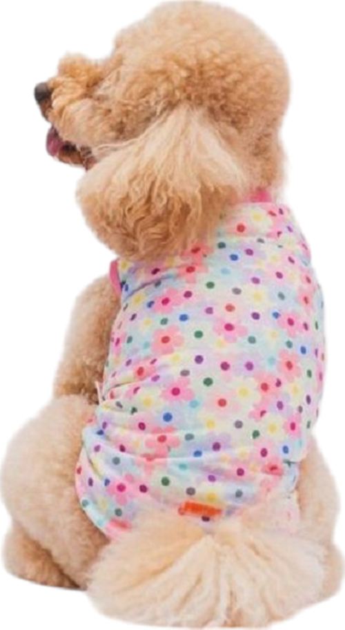 Spring Flowers Kedi Köpek Tişört