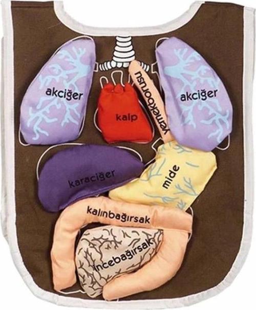 Çocuk AND-5011 Organ Önlüğü