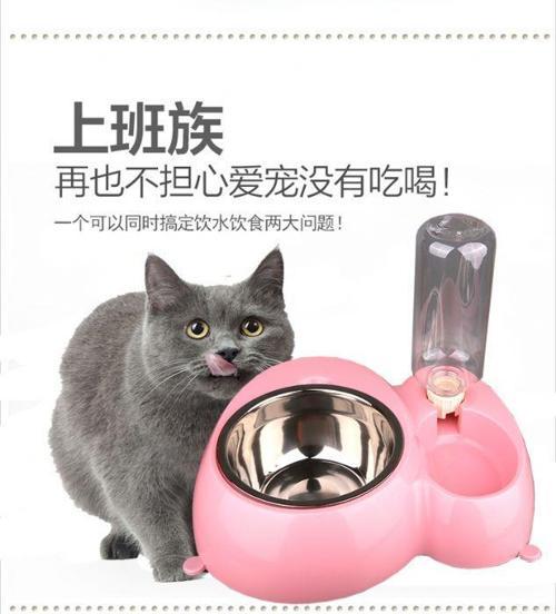 Mier Pet 821 Mama Ve Su Kabı