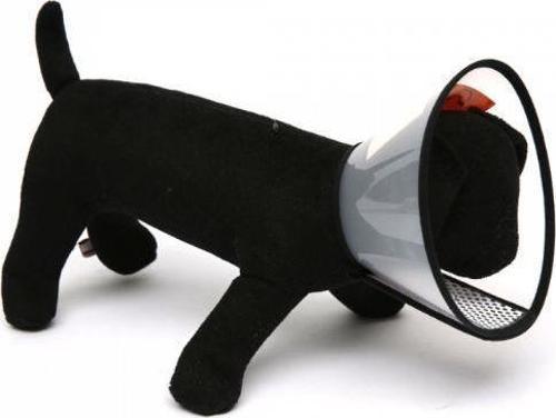Nunbell Elizabeth Yakalık 3XS Boynu 13-15cm Olan Köpekler /9cm Genişlik