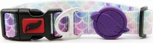 Cat Color Easy & Safety Lock Bubbles Ayarlanır Kedi Boyun Tasması