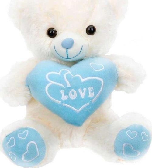 01000  Kalpli Peluş Ayı 30 cm