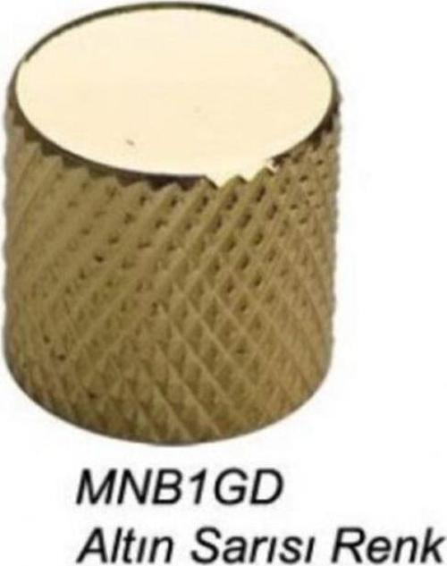 Mnb1Gd Gitar Pot Düğme Başlığı