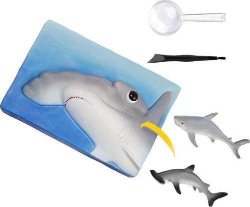 NAT07002  Köpek Balığı Bulma Kiti - TRHAMSHDIG +6 yaş