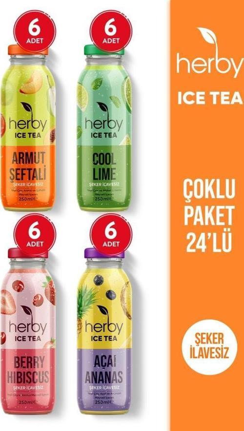Ice Tea Soğuk Çay Şeker İlavesiz Karışık Deneme Paketi 250 ml x 24