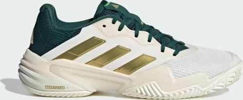 Erkek Tenis Ayakkabısı Barricade 13 M Vtg Ih5140