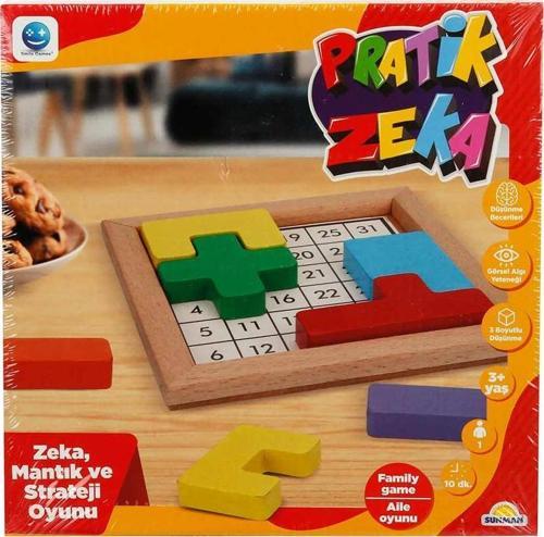 Pratik Zeka Oyunu