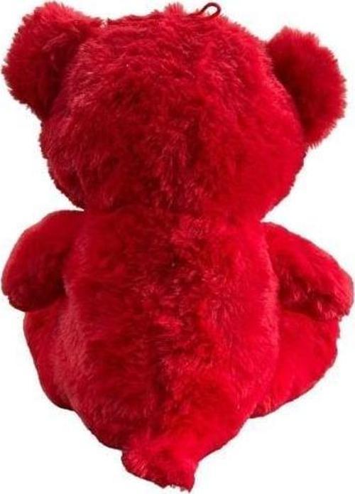 30 CM AY YILDIZ TEMALI AYICIK -HLY