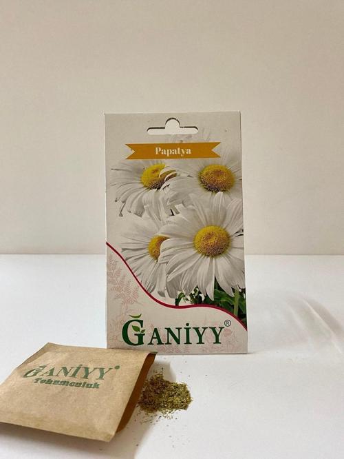 Ganiyy Tohum Ganiyy 100+ Papatya Tohumumu
