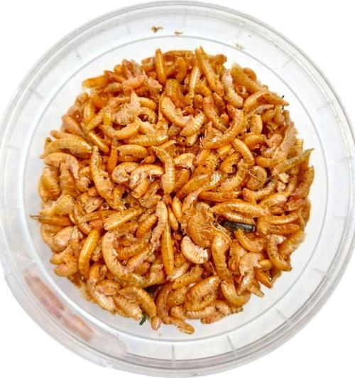  Şeffaf Kutulu Kurutulmuş Gammarus Karides Kaplumbağa Ve Balık Yemi 20 Gr+Turtle Stick Yem Hediyeli 