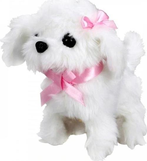 Nessiworld  Sunman Sevimli Köpek Maltese