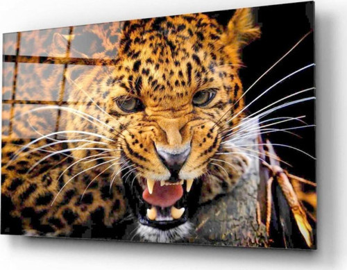 Leopar Cam Tablo Hediyelik, Dekoratif, Ofis, Mutfak