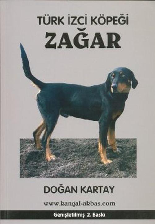 Türk İzci Köpeği Zağar