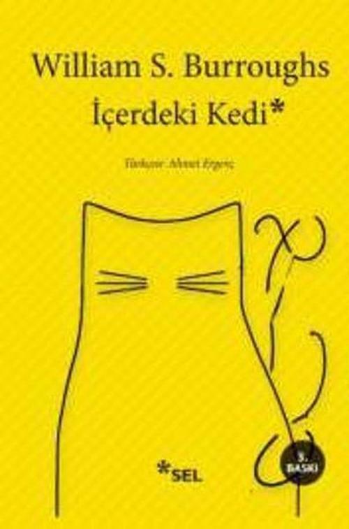 Sel Yayıncılık İçerdeki Kedi