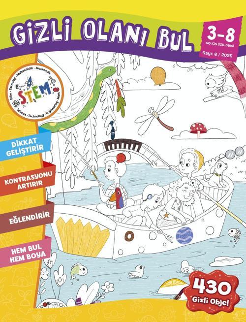 STEM GİZLİ OLANI BUL