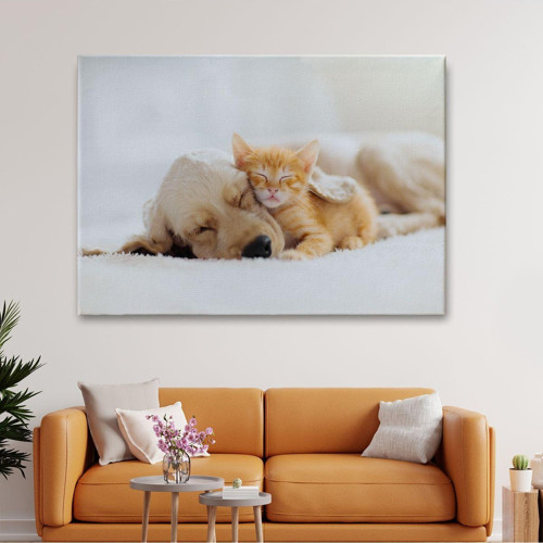 Golden Köpek İle Uyuyan Yavru Kedi Dekoratif Kanvas Duvar Tablosu 1176
