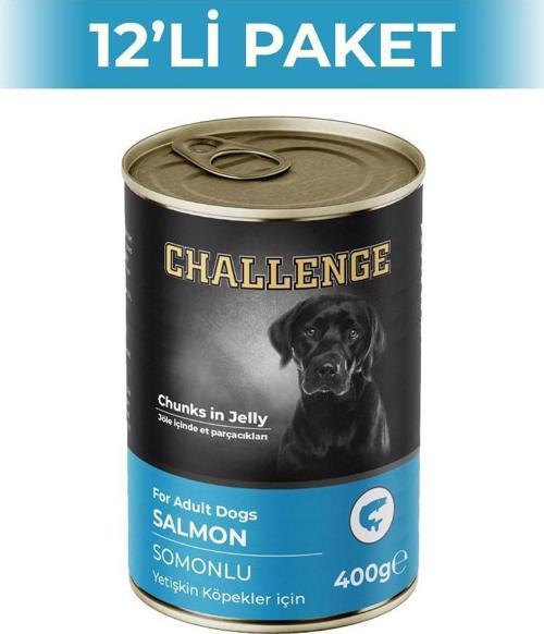 Somon Balıklı Yetişkin Köpek Konservesi 400 gr 12 Adet