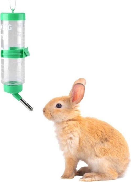 Hamster Suluk 80 Ml