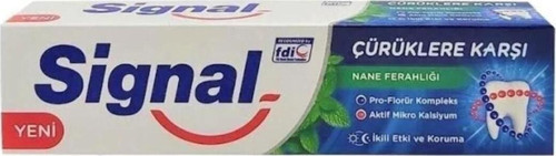 ÇÜRÜKLERE KARŞI NANE FERAHLIĞI 100 ML DİŞ MACUNU X 5 ADET