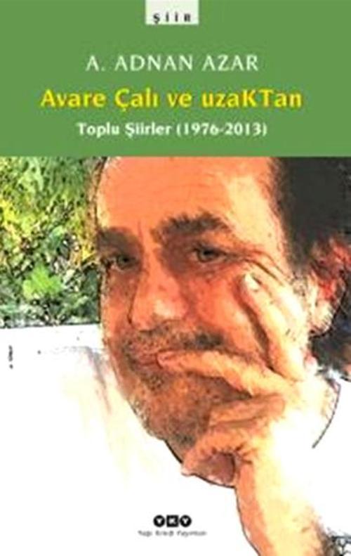 Avare Çalı ve Uzaktan - Toplu Şiirler (1976-2013)