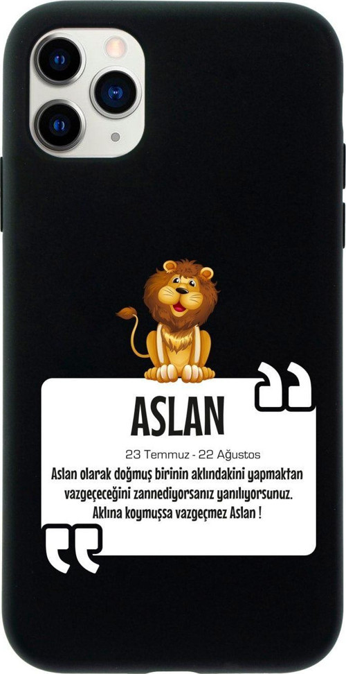 Iphone 11 Pro Aslan Burcu Tasarımlı Siyah Telefon Kılıfı