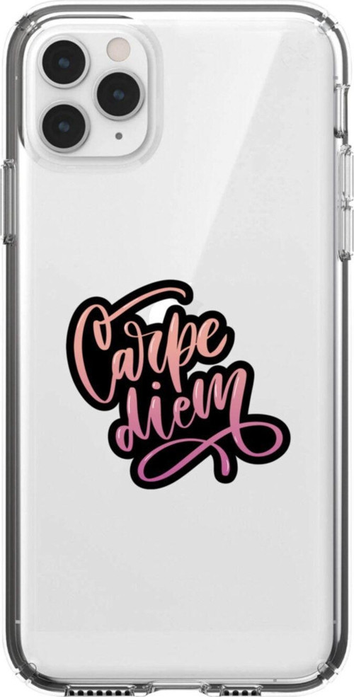 Iphone 11 Pro Carpe Diem Şeffaf Telefon Kılıfı