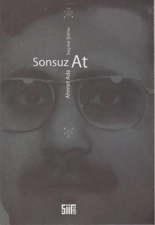 Şiirden Yayınları Sonsuz At