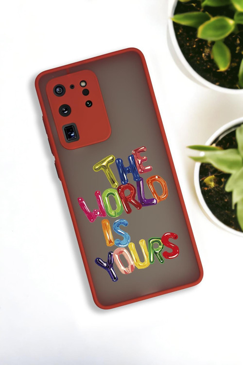 Samsung S20 Ultra Uyumlu The World Desenli Buzlu Şeffaf Lüx Telefon Kılıfı