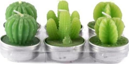 6 Adet 3 Desen Tealight Buhurdanlık Kaktüs Mum