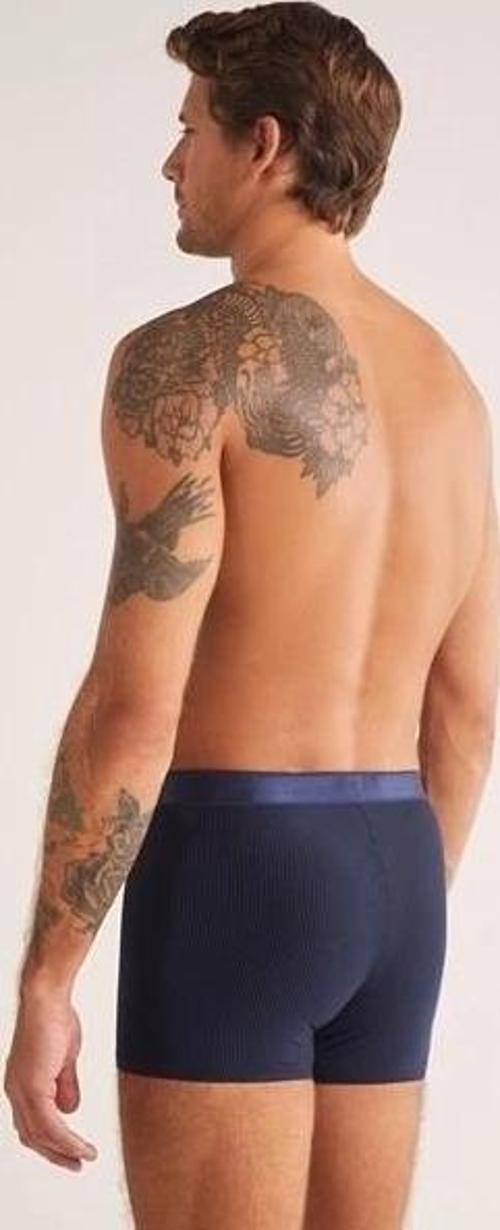 Luca Erkek Boxer