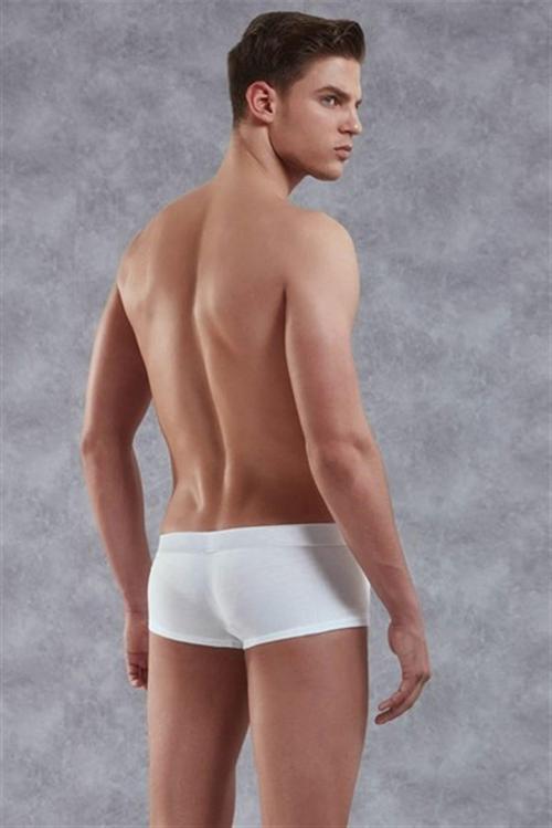 Erkek  Boxer