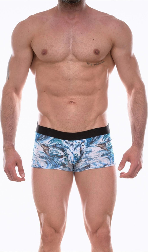 Erkek Desenli Boxer