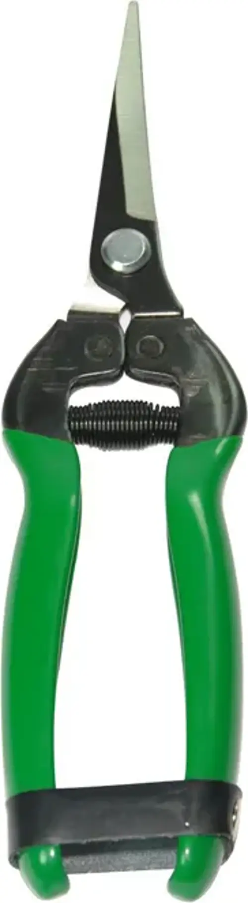 Eltu 429E5 - Düz Bıçak NarenciyeMakası 184 mm