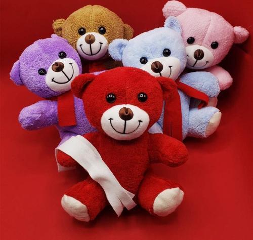 Peluş Ayıcık