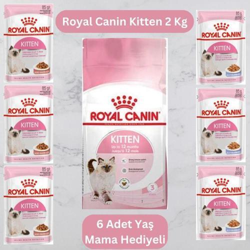 Kitten Yavru Kuru Kedi Maması 2 Kg + 6 adet yaş mama