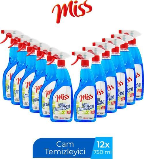 Cam Temizleyici Spreyli 750 Ml X 12 Adet