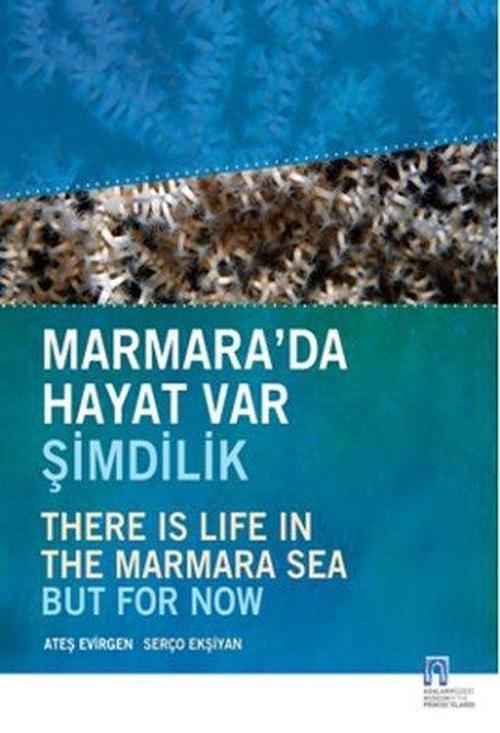 Marmara'da Hayat Var Şimdilik