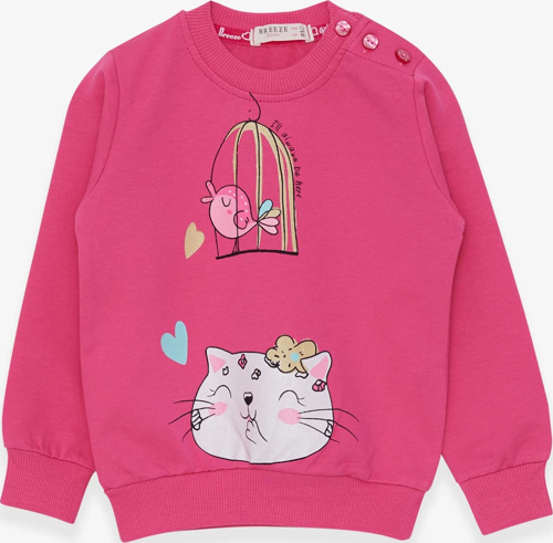 Kız Çocuk Sweatshirt Simli Kedicik Baskılı 1.5-5 Yaş, Pembe