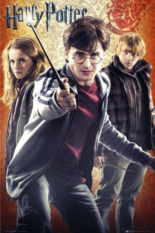 Harry Potter Group Maxı Poster