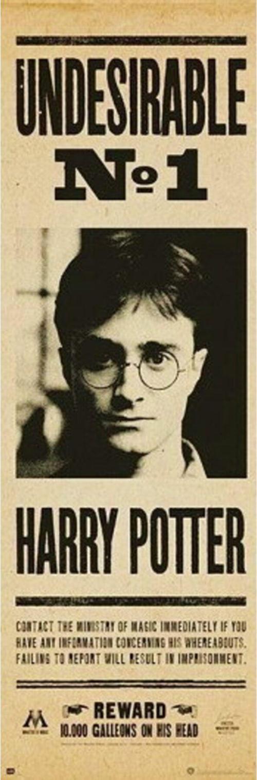 Harry Potter Undesırable No 1 Door Poster (İthal)